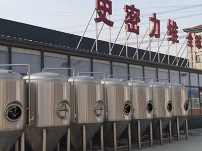 固镇精酿啤酒设备厂—如何判断精酿啤酒设备的密封件需要更换？